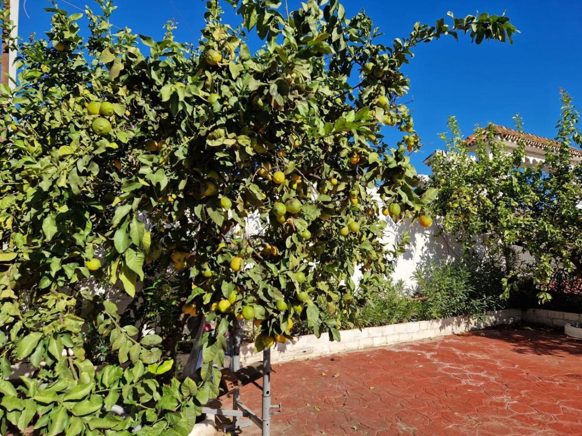 Villa Costa Marbella Exterior photo